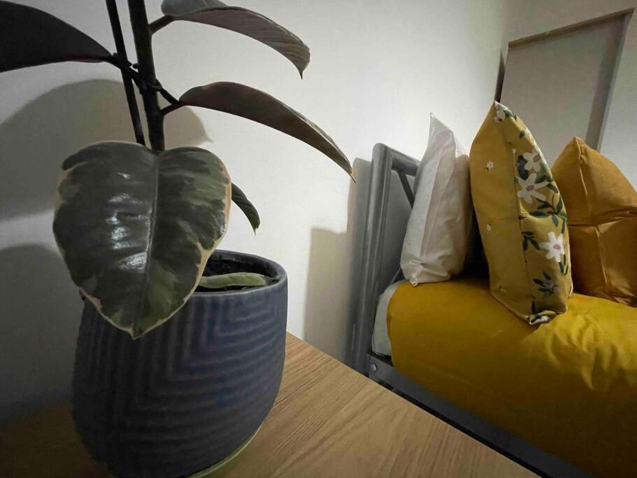 Victoria Mews Hoxton Shoreditch Londra Dış mekan fotoğraf